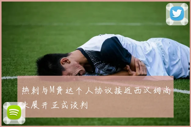 热刺与M费达个人协议接近西汉姆尚未展开正式谈判
